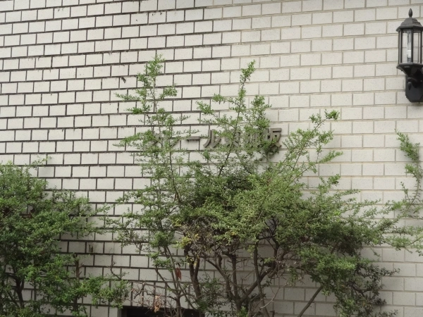 クレール東郷坂