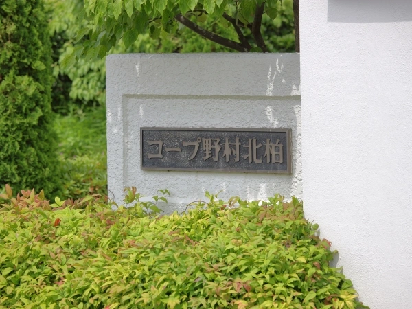 コープ野村北柏