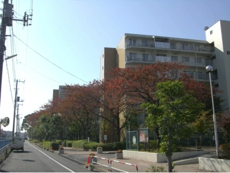 コープ野村南流山壱番街