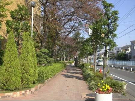 コープ野村南流山壱番街 敷地内