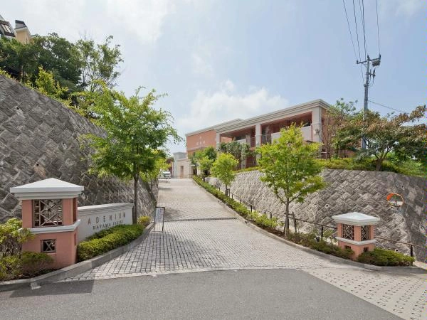 アデニウム葉山一色