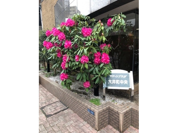 グリーンプラザ大井町中央