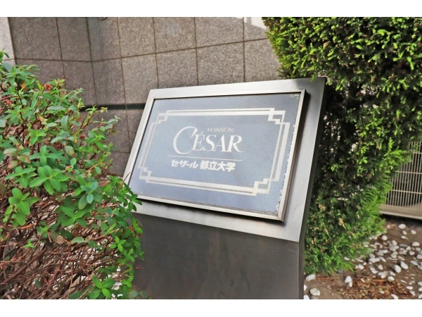 セザール都立大学