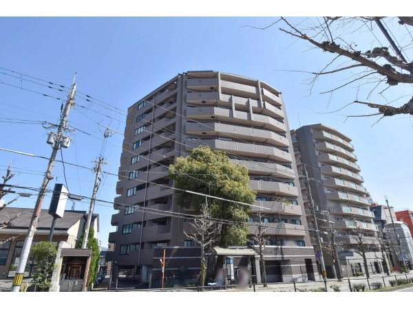 コスモ紫野