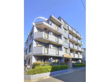 セザール西大島