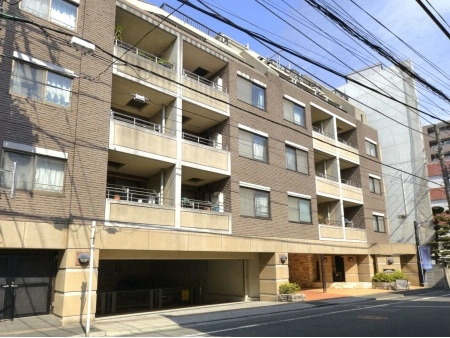 セーナ中野