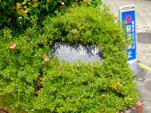 コープ野村ウィンディ池田