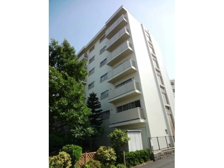 コープ甲子園
