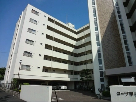 コープ甲子園