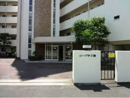コープ甲子園