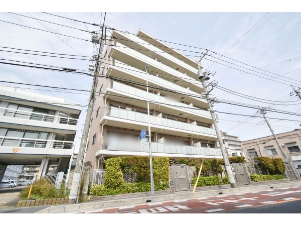 ミオカステーロ朝霞