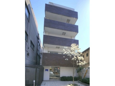ドメイン芦花公園
