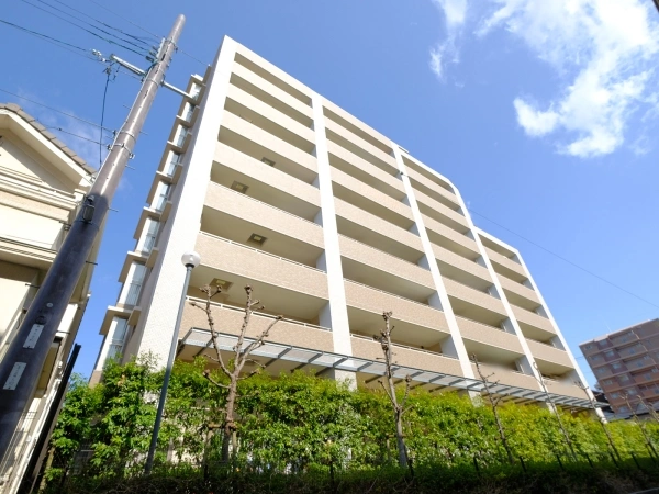 ネバーランドくずは東山