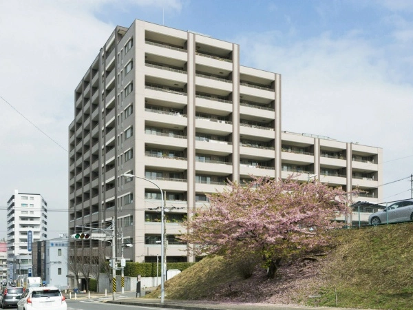 ドレッセあざみ野エスタフレンテ