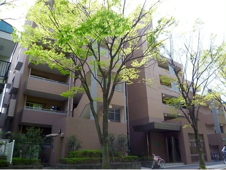 ヒルズ新松戸中央公園