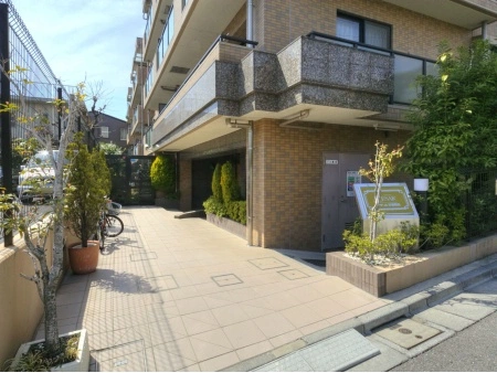 セザール杉並和田