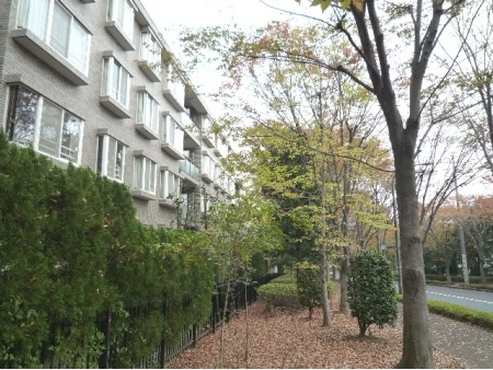 コープ野村緑山ヒルズ弐番館