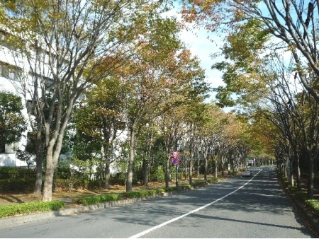 コープ野村緑山ヒルズ参番館