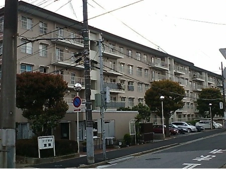 コープ野村志津