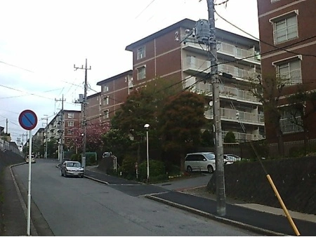 コープ野村志津