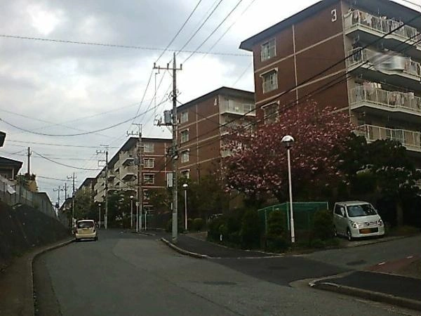コープ野村志津