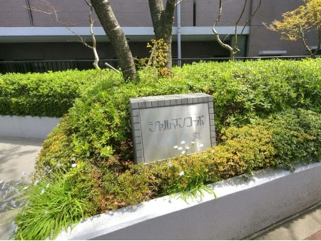 シャルマンコーポ板橋徳丸