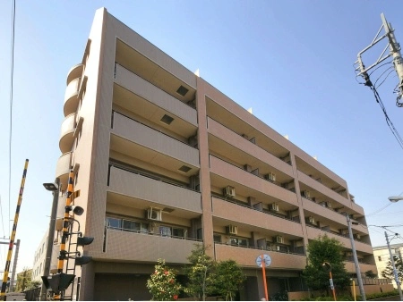 セザール第三江古田
