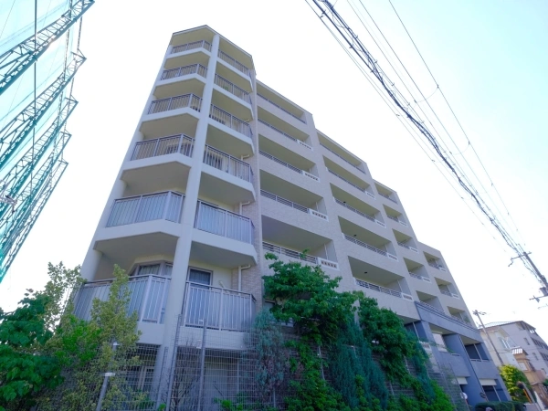 ネバーランド桂離宮南