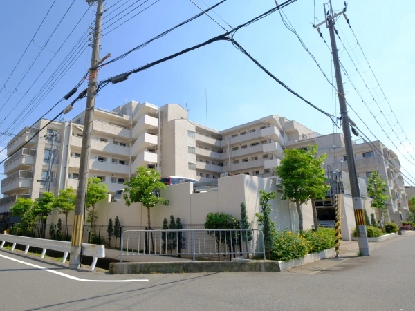 ネバーランド桂