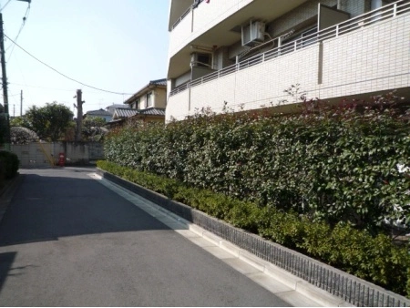 ダイナシティ城北中央公園
