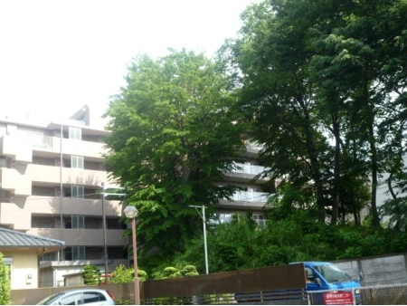 クリオ喜多見フォレストハウス