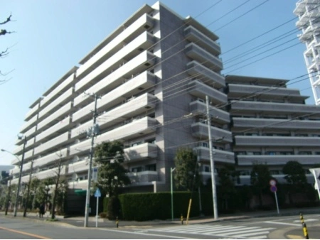 レックス藤沢