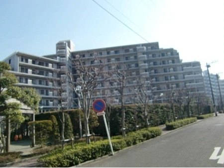 レックス藤沢