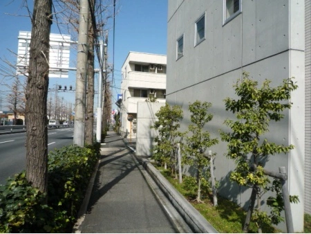 アムズシティ光が丘