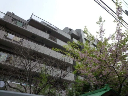大倉山北パークホームズ