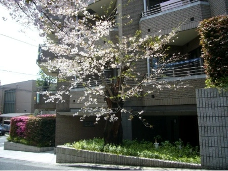 ファミールグラン代沢