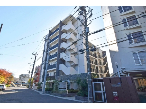 プレシス向ヶ丘遊園