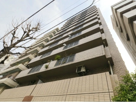 レクセルマンション音羽