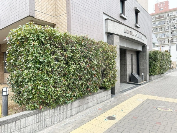ルイシャトレ駒川中野