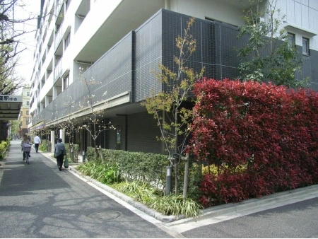 レクセル荻窪