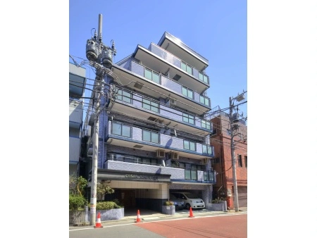 セザール菊川