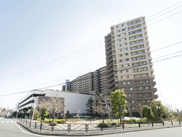 アイランドグレース