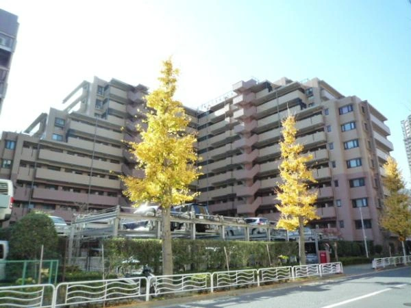 コスモ東京ベイフォート