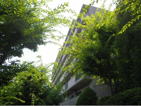 パークハイム溝の口