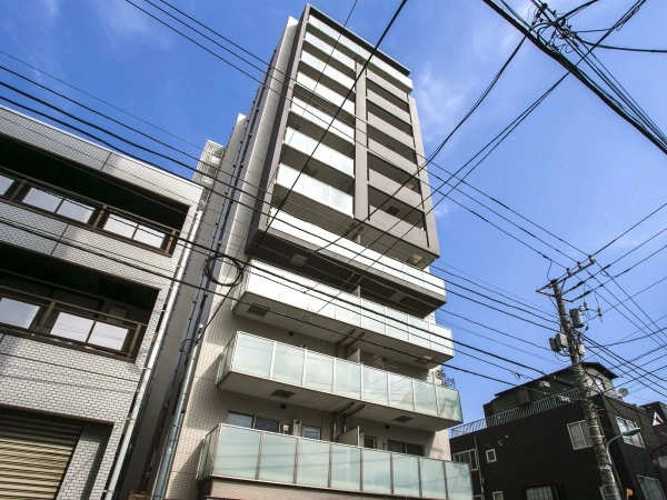 リビオレゾン白金