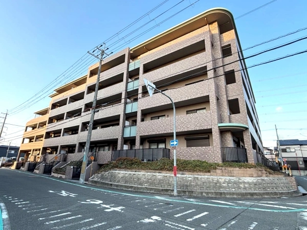デュアル長尾