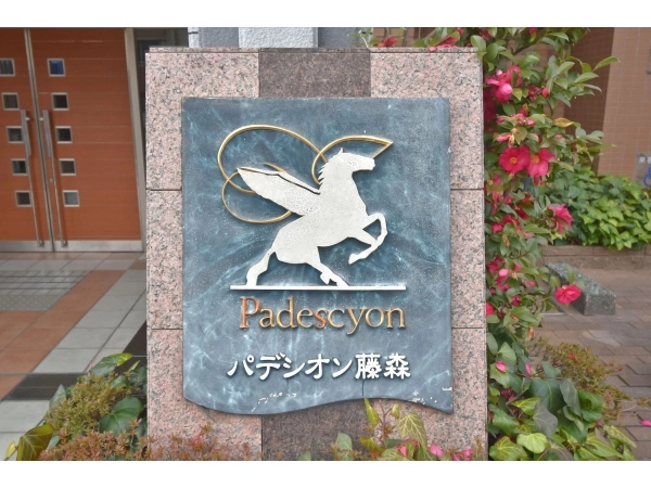 パデシオン藤森