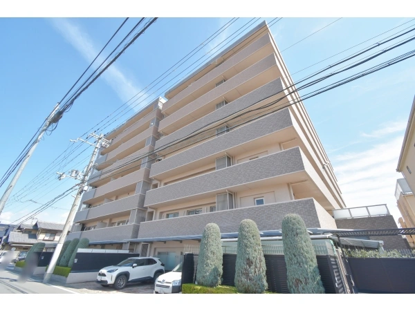 ネバーランド伏見丹波橋