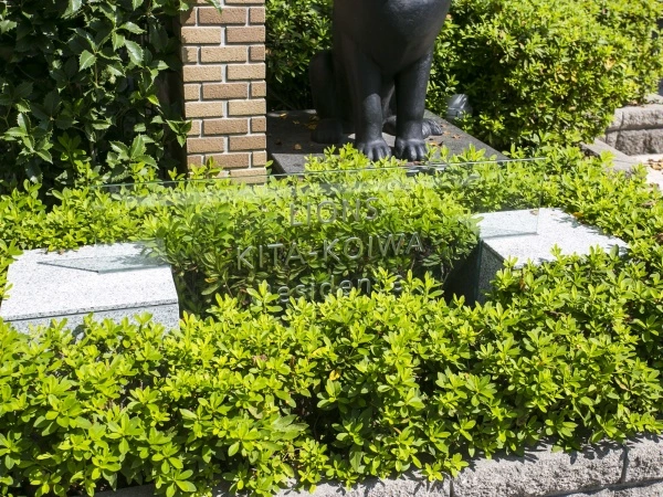 ライオンズ北小岩レジデンス