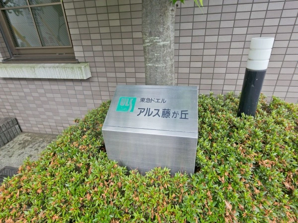 ドエルアルス藤が丘
